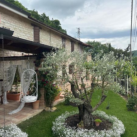 B&B Il Poggetto Serra Sant'Abbondio Экстерьер фото