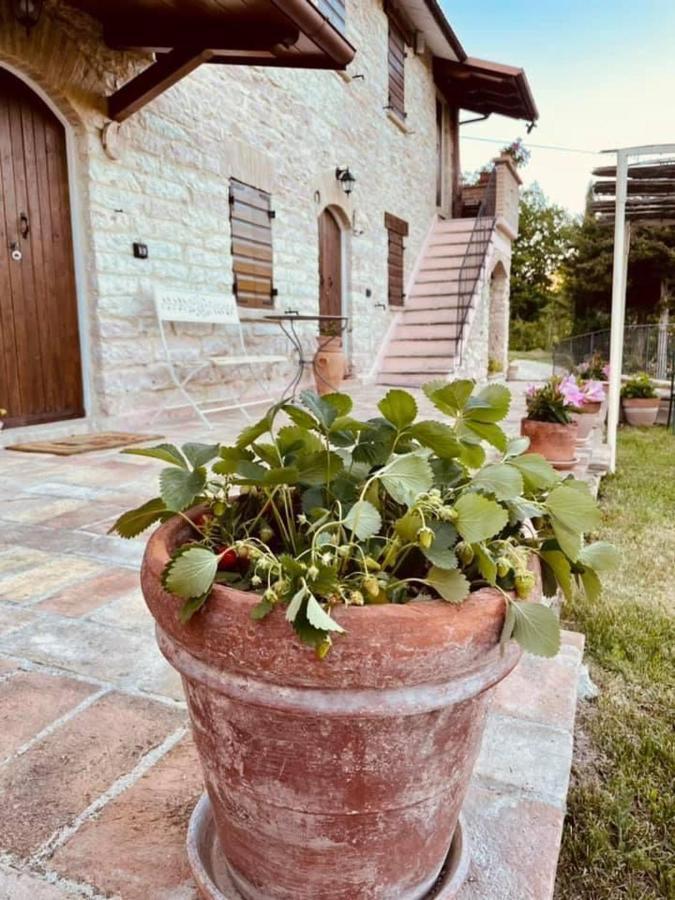 B&B Il Poggetto Serra Sant'Abbondio Экстерьер фото