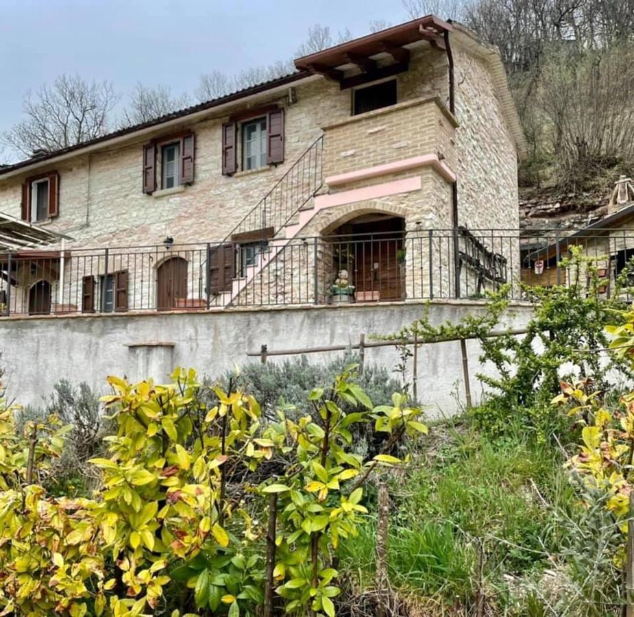B&B Il Poggetto Serra Sant'Abbondio Экстерьер фото