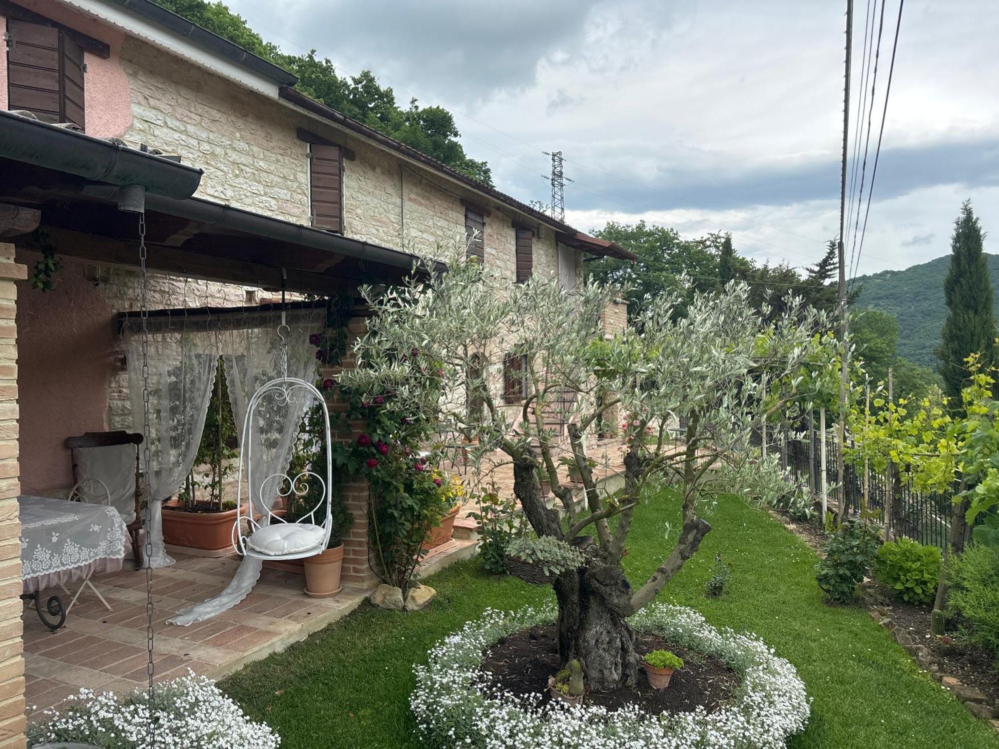 B&B Il Poggetto Serra Sant'Abbondio Экстерьер фото