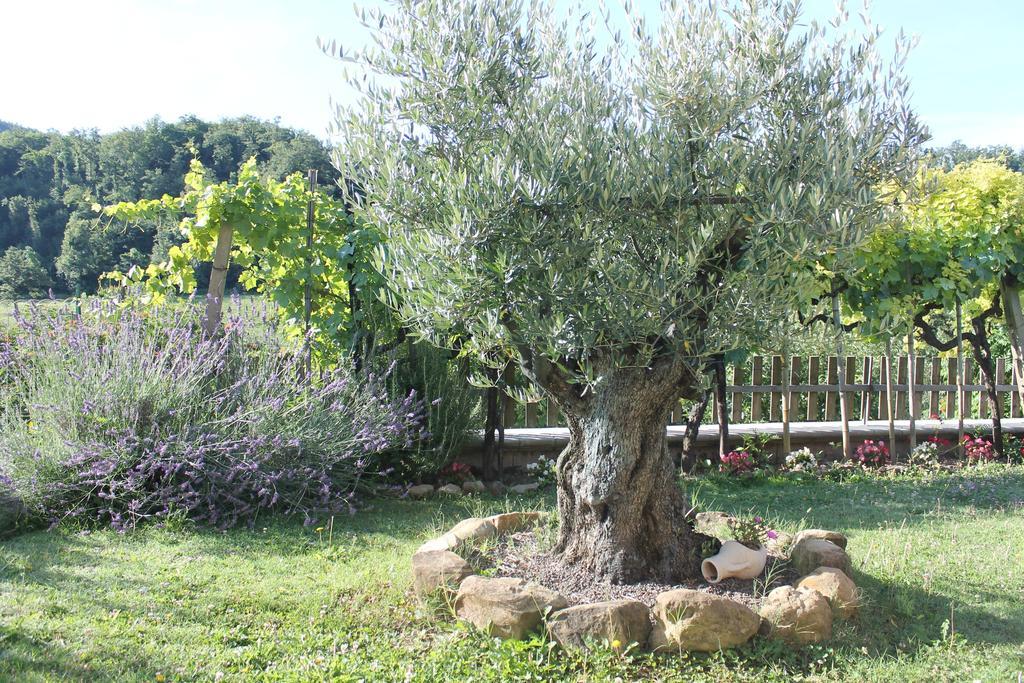 B&B Il Poggetto Serra Sant'Abbondio Экстерьер фото